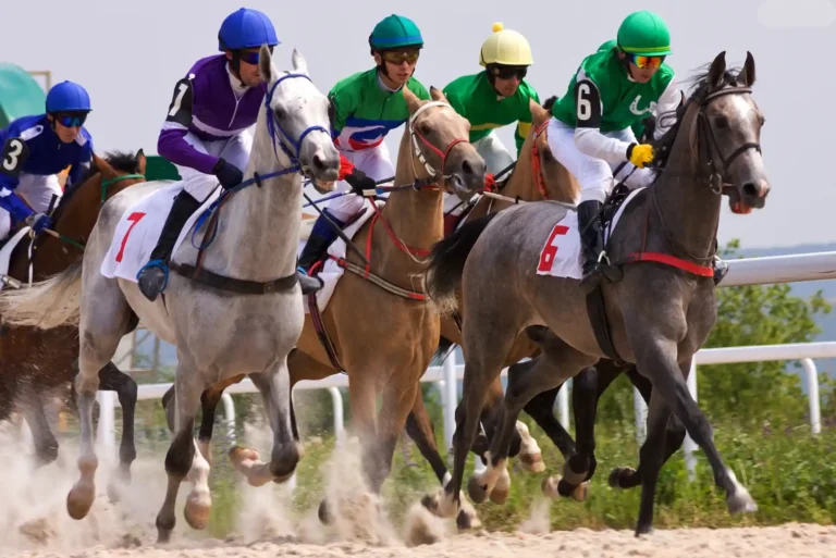 Mastering Horse Racing Betting: Secure Strategies & Smarter Play